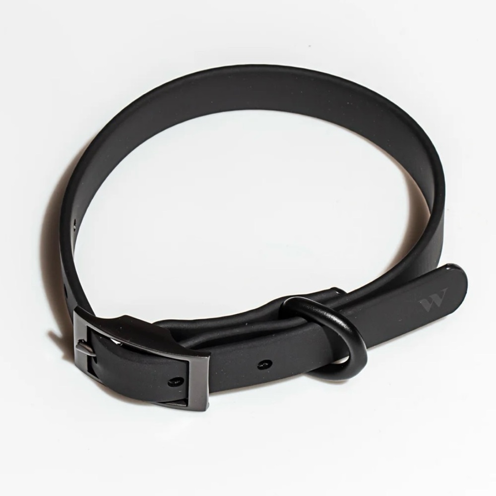 Wild One Dog Collar - XS (7-10") - Black - Picture 7 of 14